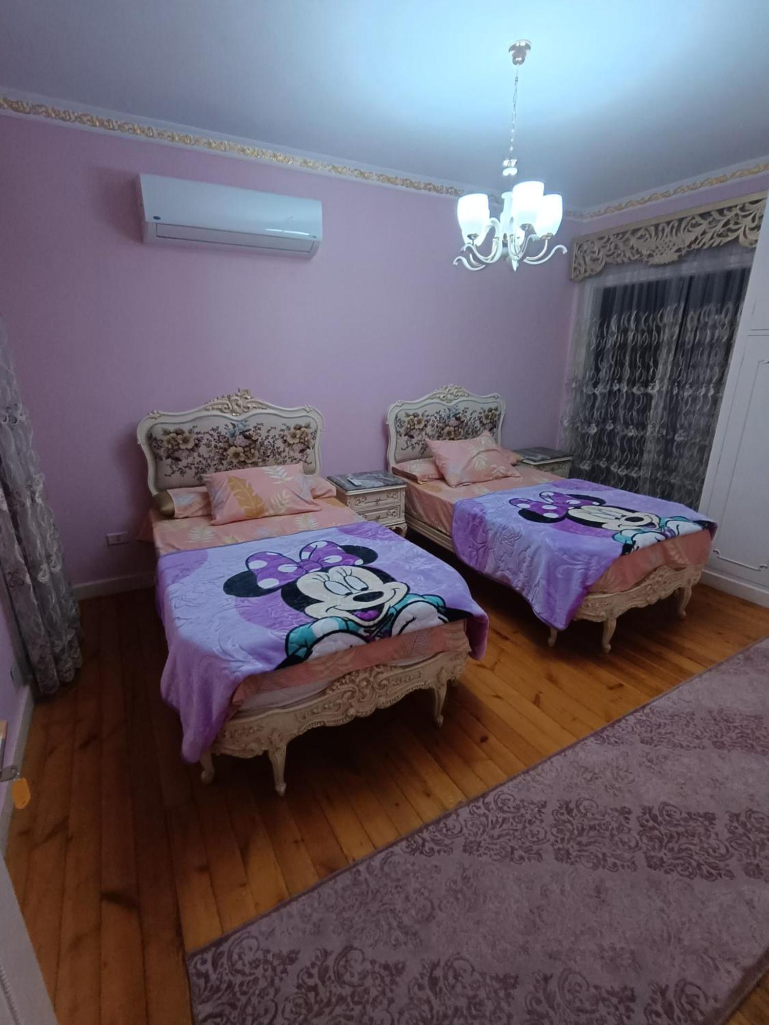 Apartment شقه جامعه الدول العربيه Cairo